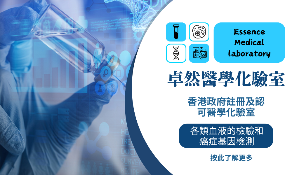 卓然web11